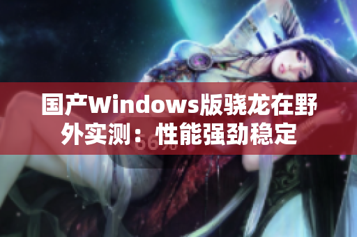 国产Windows版骁龙在野外实测：性能强劲稳定