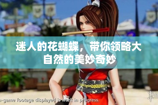 迷人的花蝴蝶，带你领略大自然的美妙奇妙