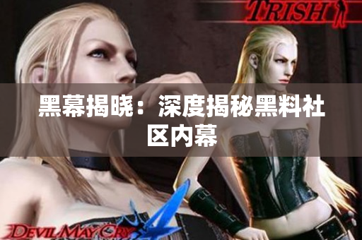 黑幕揭晓：深度揭秘黑料社区内幕