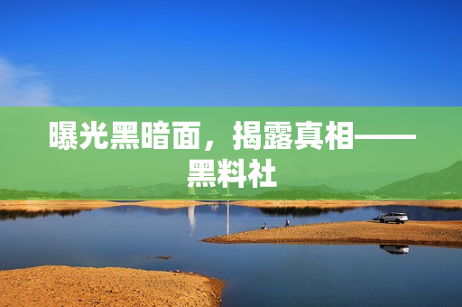 曝光黑暗面，揭露真相——黑料社