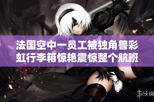 法国空中一员工被独角兽彩虹行李箱惊艳震惊整个航班