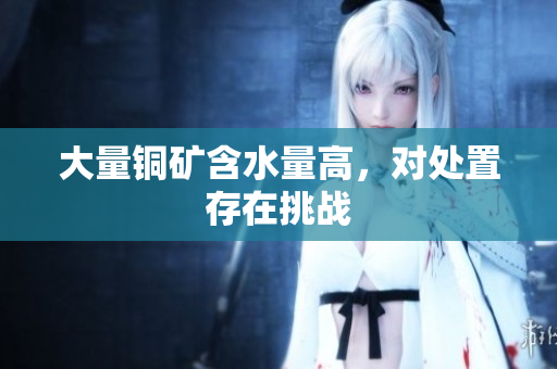 大量铜矿含水量高，对处置存在挑战