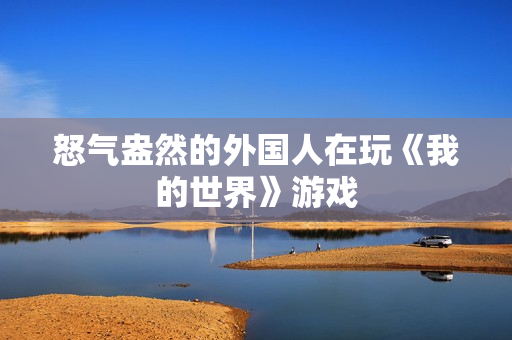 怒气盎然的外国人在玩《我的世界》游戏