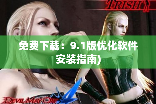 免费下载：9.1版优化软件安装指南)