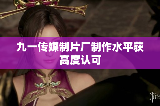 九一传媒制片厂制作水平获高度认可