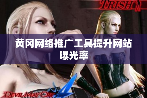 黄冈网络推广工具提升网站曝光率
