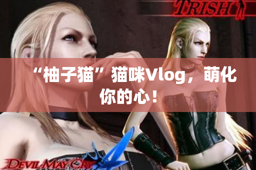 “柚子猫”猫咪Vlog，萌化你的心！