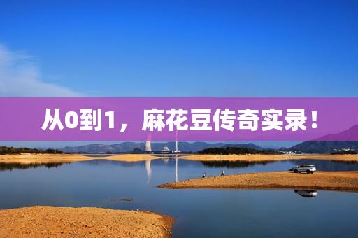 从0到1，麻花豆传奇实录！