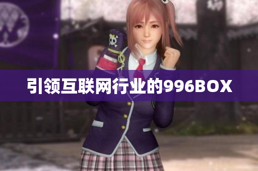 引领互联网行业的996BOX