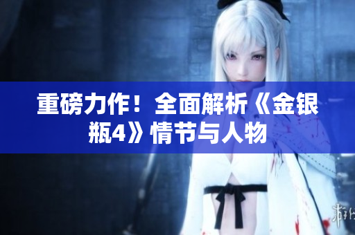 重磅力作！全面解析《金银瓶4》情节与人物