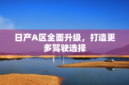 日产A区全面升级，打造更多驾驶选择