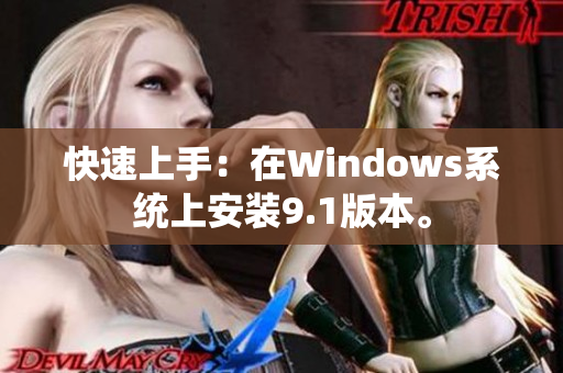 快速上手：在Windows系统上安装9.1版本。