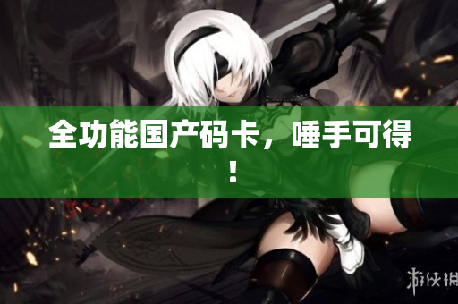 全功能国产码卡，唾手可得！