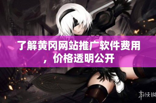 了解黄冈网站推广软件费用，价格透明公开