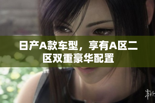 日产A款车型，享有A区二区双重豪华配置