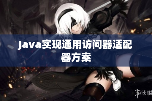Java实现通用访问器适配器方案