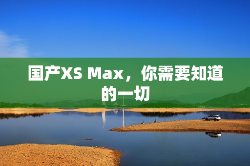 国产XS Max，你需要知道的一切