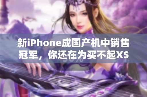 新iPhone成国产机中销售冠军，你还在为买不起XSMax而发愁吗？