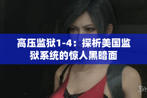 高压监狱1-4：探析美国监狱系统的惊人黑暗面