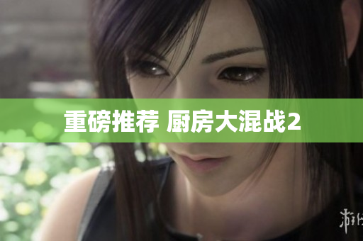 重磅推荐 厨房大混战2