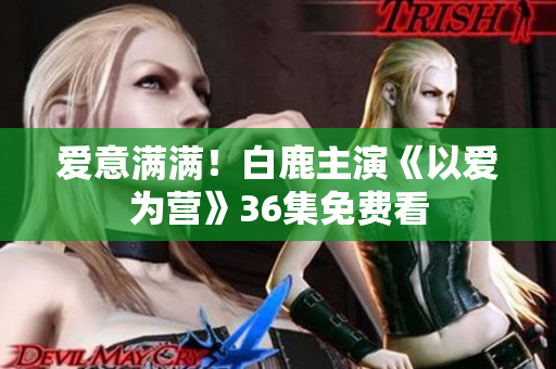 爱意满满！白鹿主演《以爱为营》36集免费看