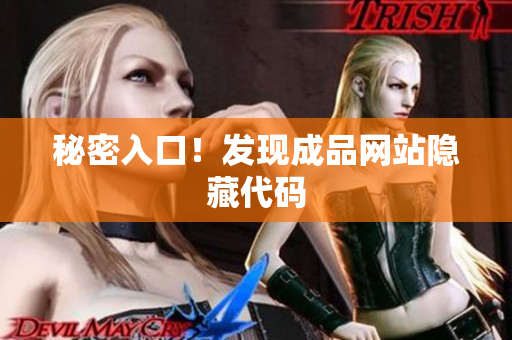 秘密入口！发现成品网站隐藏代码