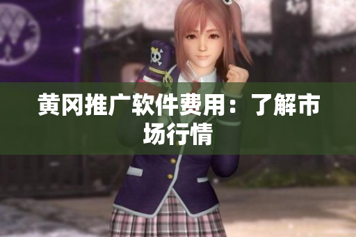 黄冈推广软件费用：了解市场行情