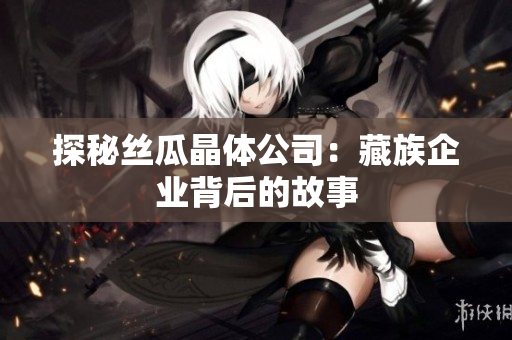 探秘丝瓜晶体公司：藏族企业背后的故事