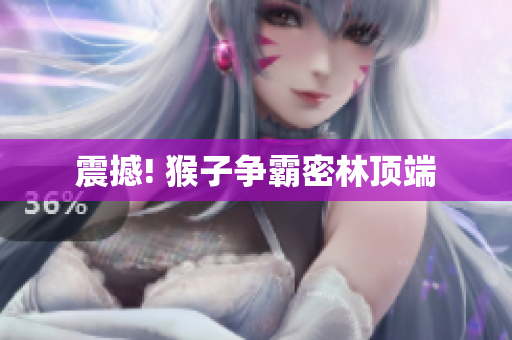 震撼! 猴子争霸密林顶端