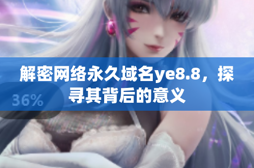 解密网络永久域名ye8.8，探寻其背后的意义