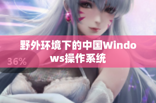 野外环境下的中国Windows操作系统