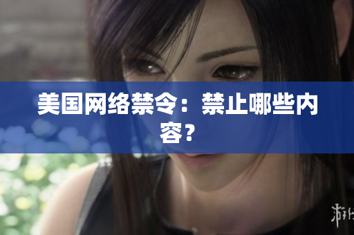 美国网络禁令：禁止哪些内容？
