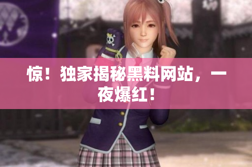 惊！独家揭秘黑料网站，一夜爆红！