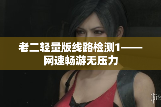 老二轻量版线路检测1——网速畅游无压力
