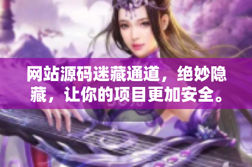 网站源码迷藏通道，绝妙隐藏，让你的项目更加安全。