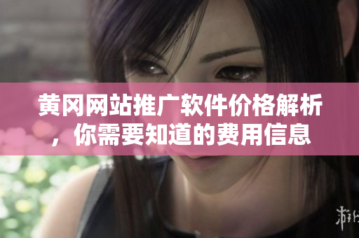 黄冈网站推广软件价格解析，你需要知道的费用信息