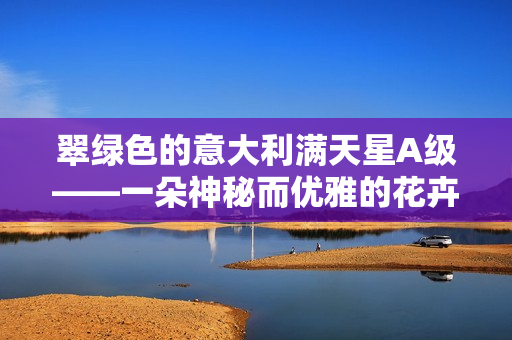 翠绿色的意大利满天星A级——一朵神秘而优雅的花卉