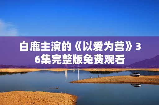 白鹿主演的《以爱为营》36集完整版免费观看