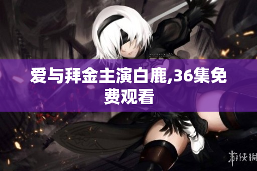 爱与拜金主演白鹿,36集免费观看