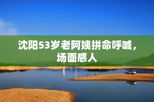 沈阳53岁老阿姨拼命呼喊，场面感人
