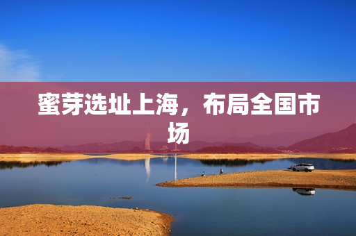 蜜芽选址上海，布局全国市场