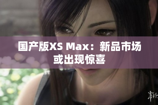 国产版XS Max：新品市场或出现惊喜