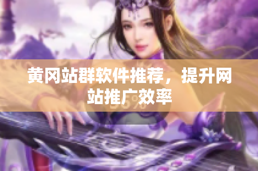 黄冈站群软件推荐，提升网站推广效率