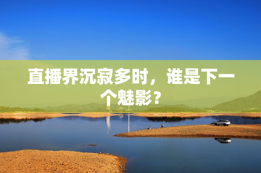 直播界沉寂多时，谁是下一个魅影？