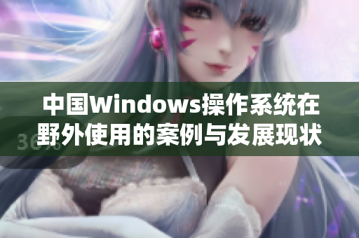 中国Windows操作系统在野外使用的案例与发展现状