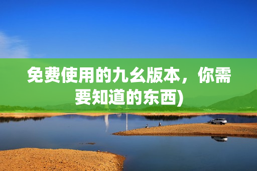 免费使用的九幺版本，你需要知道的东西)