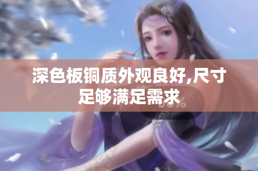 深色板铜质外观良好,尺寸足够满足需求