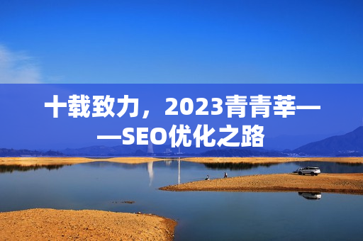十载致力，2023青青莘——SEO优化之路