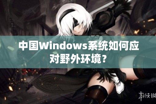 中国Windows系统如何应对野外环境？