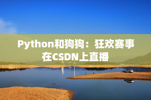 Python和狗狗：狂欢赛事在CSDN上直播